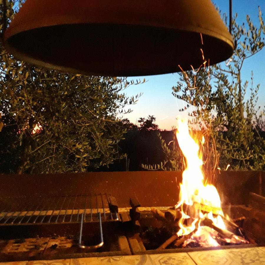 La Vigna Countrybnb Montottone Eksteriør bilde